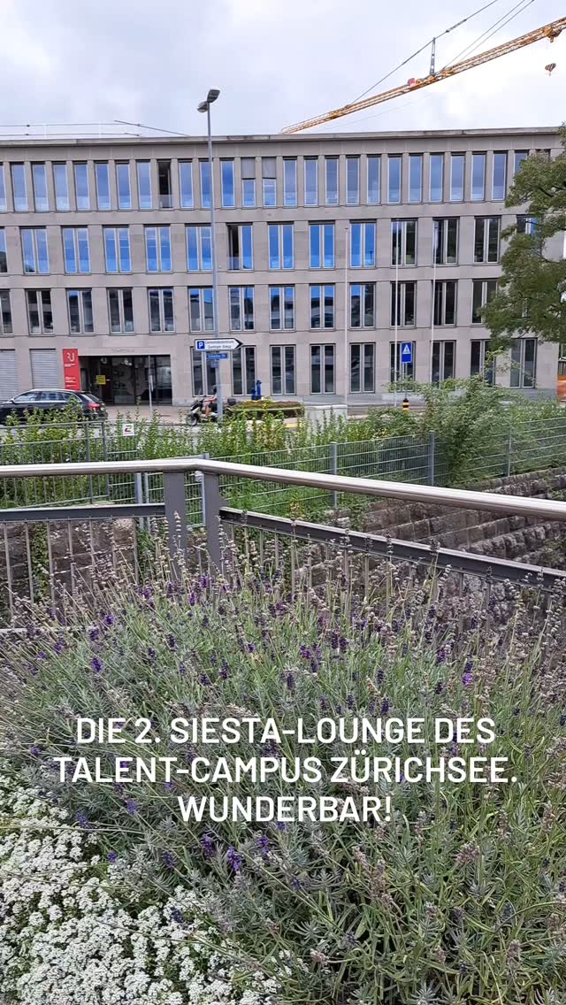 18453132925056263