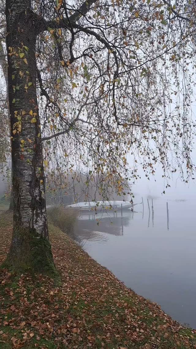 18135247129332139