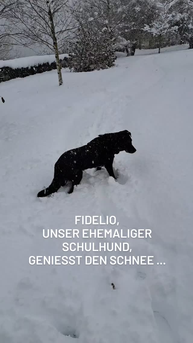 18014986439398645