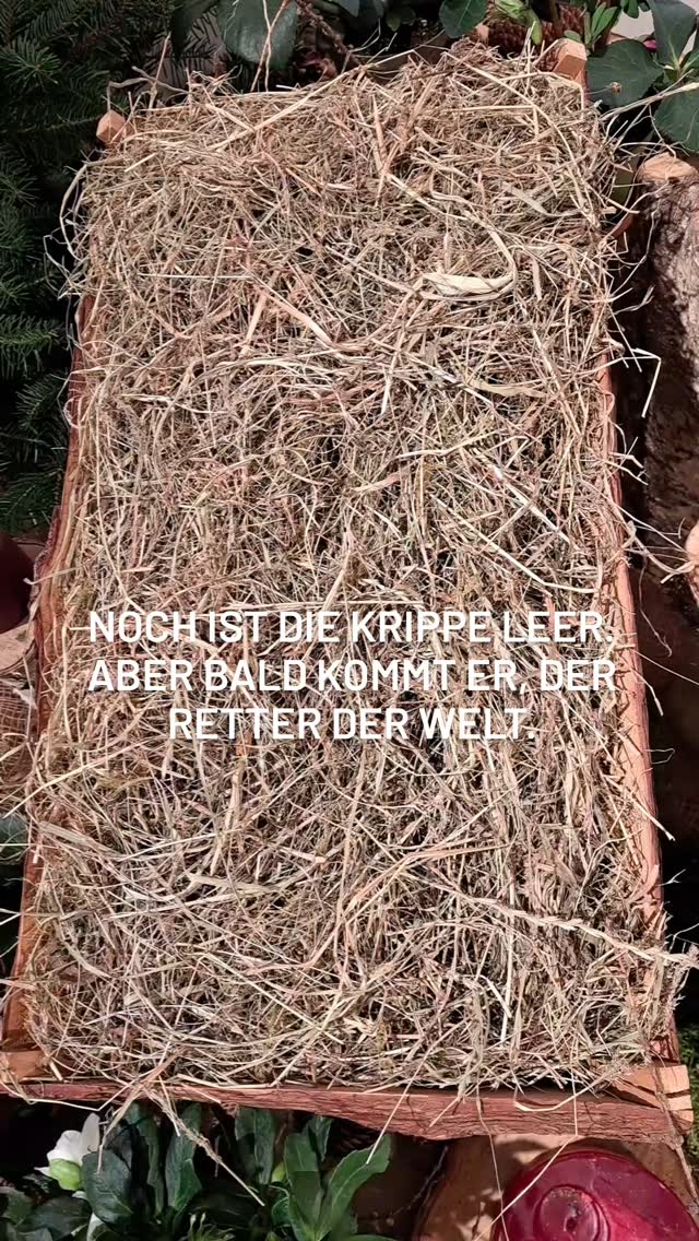 18000191129536508