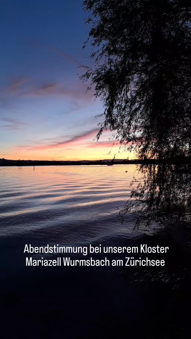 18034363283686240