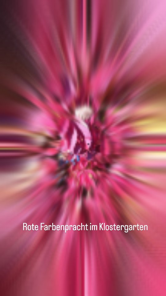 17902008258295816