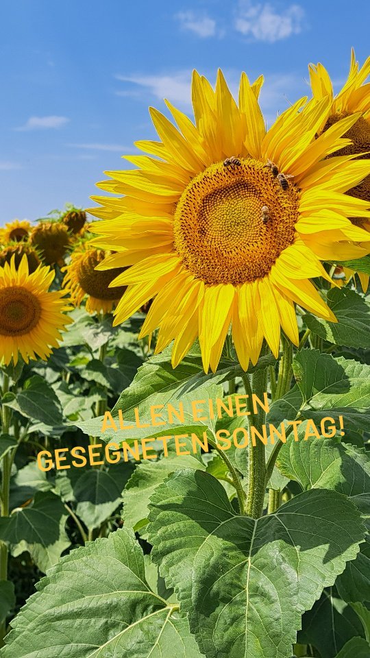 17912962725241803