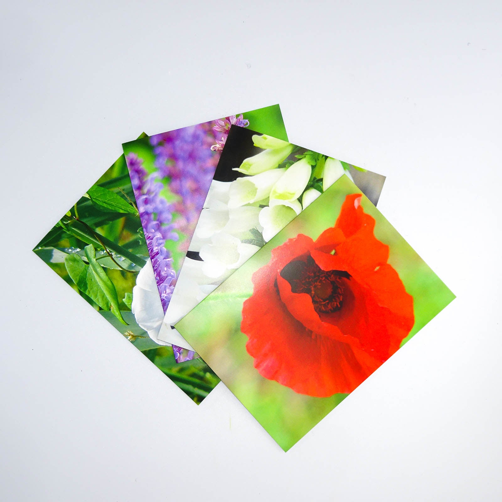 4er-Set Grusskarten Sommer