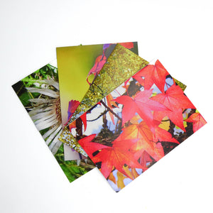 4er-Set Grusskarten Herbst