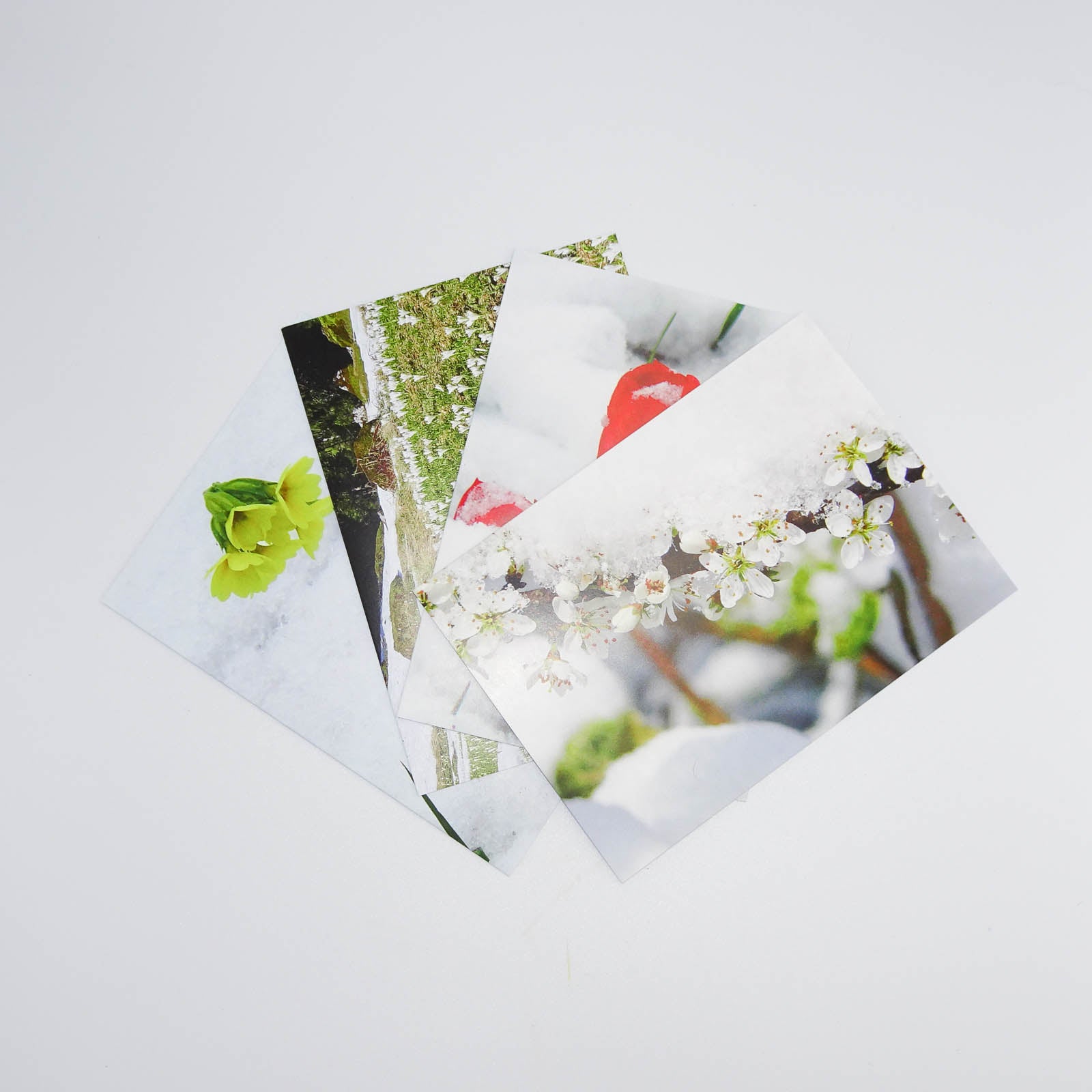 4er-Set Grusskarten Vorfrühling